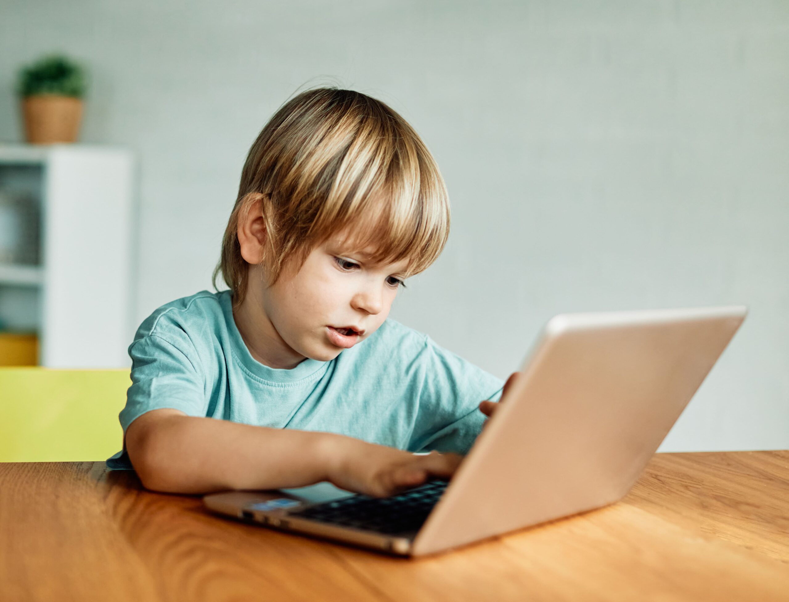 Educação Infantil